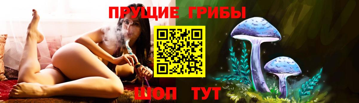 Галлюциногенные грибы GOLDEN TEACHER Горячий Ключ