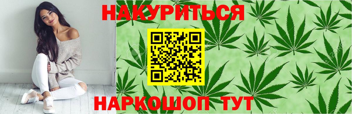Марихуана планчик  Канабис семена  Конопля OG Kush  Горячий Ключ  Вход с VPN 